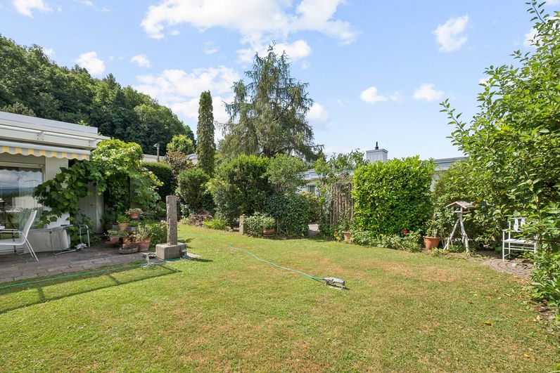 Grosszügiger Garten mit Rasenfläche und gepflegter Bepflanzung in Zofingen